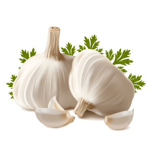 लहसुन (Garlic) खाने के फायदे